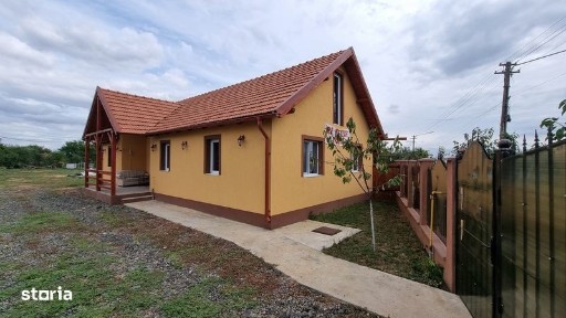 casa noua in vinga