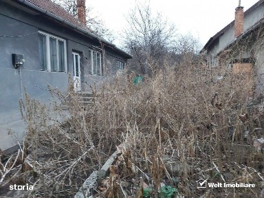 Dambul Rotund, Cluj-Napoca, Cluj