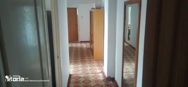 3 camere de inchiriat