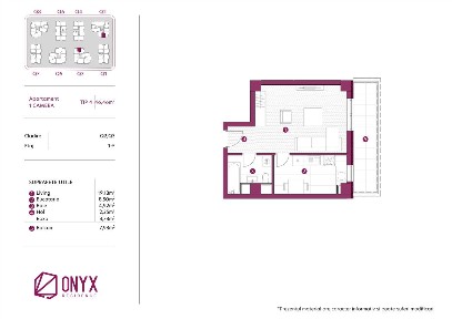 Strada Barleanu Iftimie, Nicolina 1, Iasi