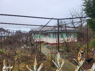 Casa veche in Filipesti Bacau