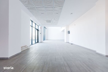 Strada 1 Decembrie, Stadion, Timisoara, Timis