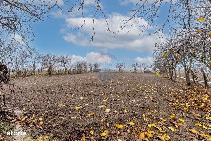 Casă cu anexe si teren de 759mp in Misca