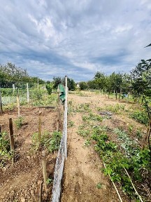 Casa de vanzare Miniș