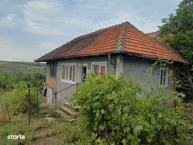Vand casa plus teren sat Bobaita comuna Malovat, Mehedinti