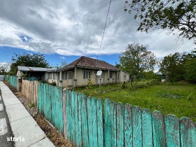 Casa + teren 4430 mp, vie si pomi fructiferi, 22 km de Tecuci