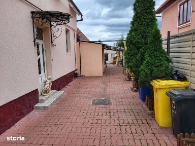 Casa cu 6 camere piscina si pivnita in Turnisor