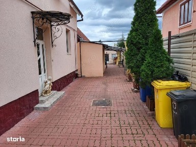 Casa cu 6 camere piscina si pivnita in Turnisor