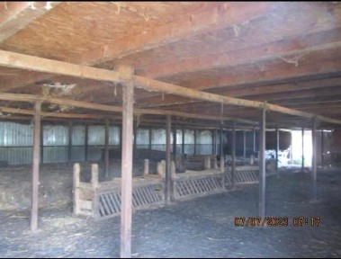 Calarasi, Vlad Tepes