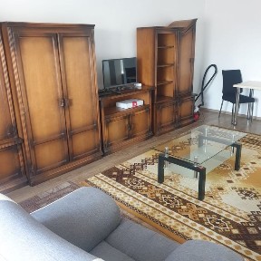 Apartament o cameră. 50 mp zona Balcescu