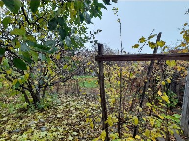 Casa cu Gradina de vânzare in Tecuci