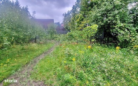 Curte Generoasa Pretabil After School