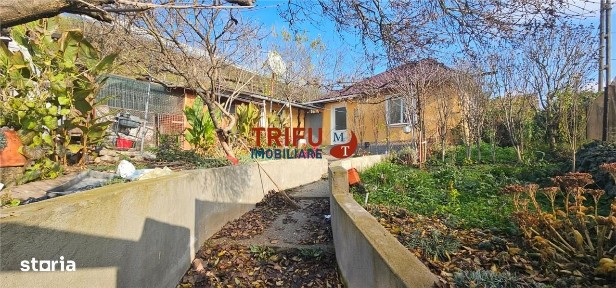 Căsuța din Barabant: O Afacere Mai Bună Decât Un Apartament? (Posibil!