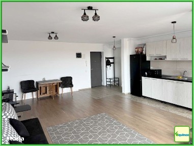 Apartament 2 camere de inchiriat, MRS Village, ECX38104