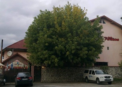 Pensiune Garsoniere 1000 lei zona Liceul Agricol