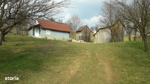 Casa Borsa, Maramures