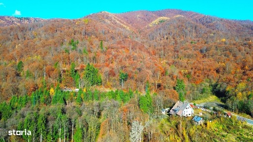Strada Colonia Eliberarii, Baia Sprie, Maramures