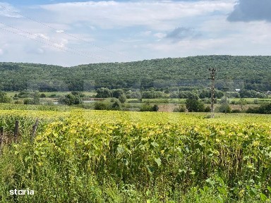 Casa batraneasca cu 6000 mp teren Schitul Duca