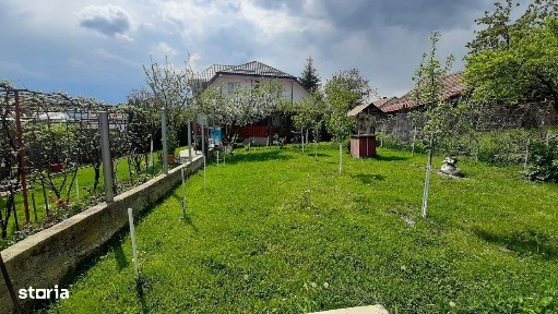 Casa moderna, foarte spatioasa, cu 1500 mp teren, în Dambul Rotund