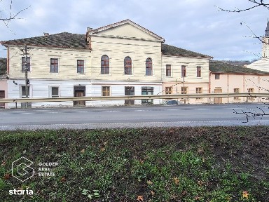 Proprietate tip conac, teren 4468 mp, oras Lipova