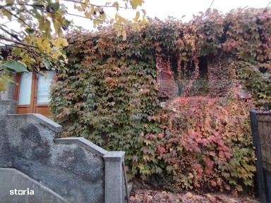 Proprietate in zona Parcului Romanescu, casa batraneasca si teren de 3