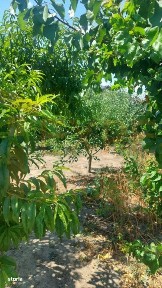 Casa de vanzare in centrul Cobadinului, COMISION 0%