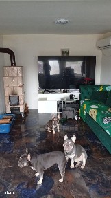 Curmatura, Giurgita, Dolj