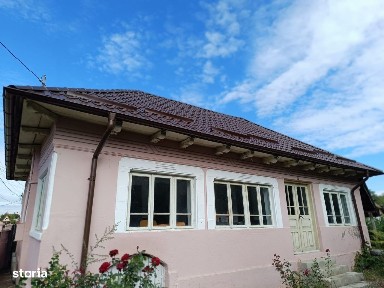 Mischii, Dolj