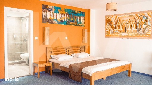 PENSIUNE ELEGANTĂ DE VANZARE IN TURNIȘOR!