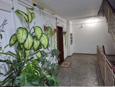 Chirie apartament 3 camere, mobilat, zona centrală Obor