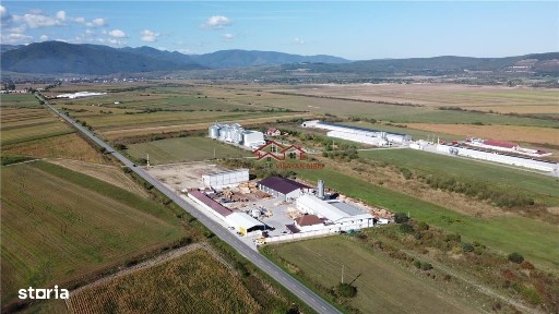 Oportunitate investitie prelucrare lemn, Cristian,jud.Sibiu