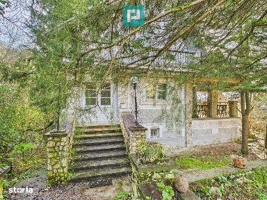 Casă P+E+M cu teren 8163 mp - Roşia Nouă (Petriş)