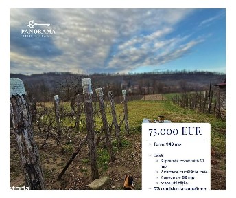 Casă de vânzare în Laslea-gospodărie autentică în inima Transilvaniei