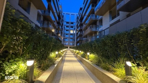 Strada Erou Nicolae Iancu, Voluntari, Ilfov