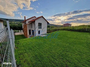 Casa individuala 5 camere in Valea Chintaului