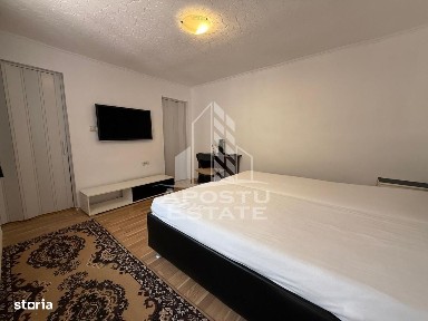 Apartament cu 1 camera la casa, pet friendly, zona Modern