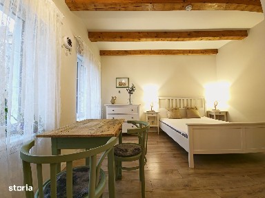 Casa 2 apartamente, ultrafinisate,mobilate la cheie, Horea zona Urania