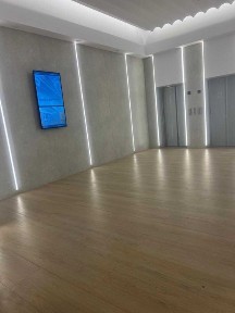 Vanzare Studio Cortina North