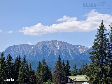 Oportunitate Ivestitie Vila Cioplea Predeal