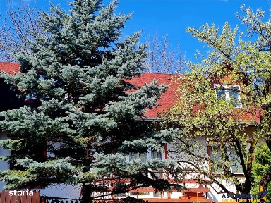 In Vintage style, cu acces auto in curte proprie, zona Star - Centru