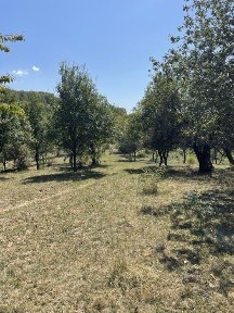 Vata De Jos, Hunedoara