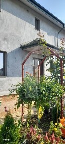 Casa individuala 175mp si curte - Berceni
