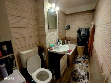 Cetate, Timisoara, Timis