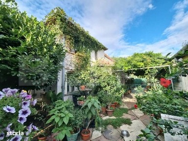 Casa stil boem, cu dependinte, 6 camere, zona-M17