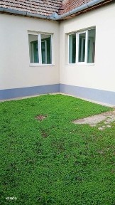 Opatita, Deta, Timis