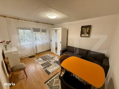 Garsoniera 36 mp, centrala proprie, Etaj 1, Brazda lui Novac
