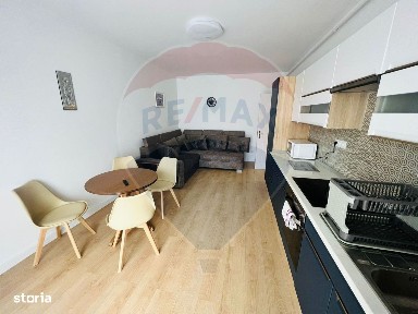 Valea Borcutului, Baia Mare, Maramures