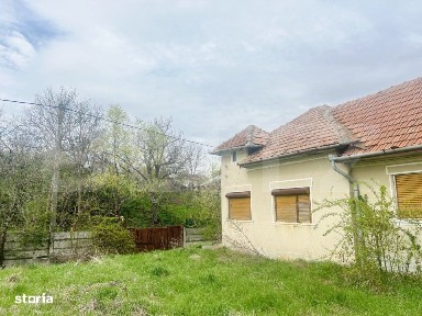Casa de Vanzare, 4139 mp, Hapria, Ciugud - Ideala ca Locuinta sau Pr
