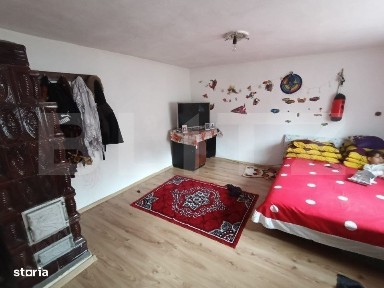 Casa renovabila 5 camere baie si anexe 2800 mp teren in Pianu de Sus