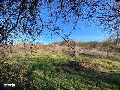 Casa veche cu 4 camere, teren 1800 mp, Henig